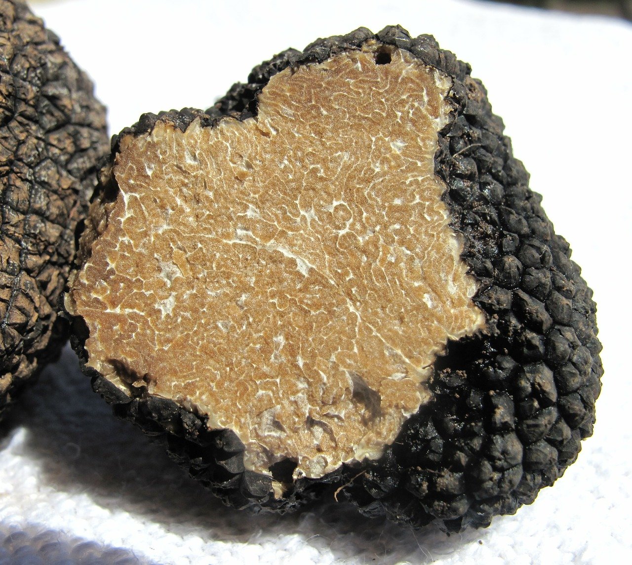 Everything you need to know about truffles